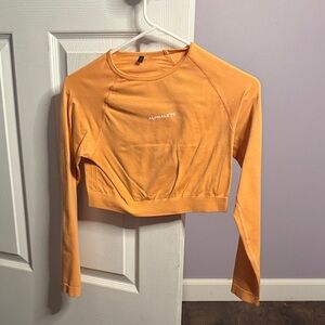 Alphalete cropped long sleeve